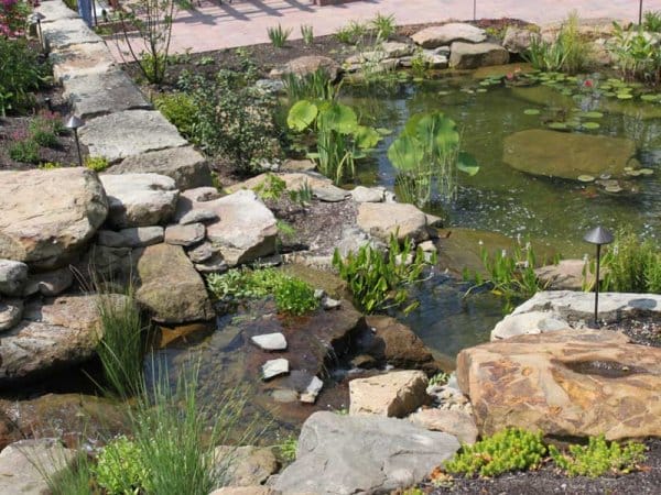 Landscaping solutions around a pool or spa