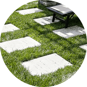 Grass and Pavers