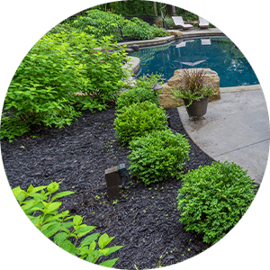 mulch in beds by pool