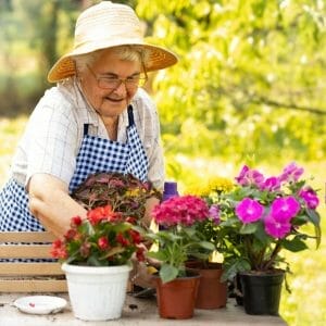 How to Choose the Best Flowers to Plant in a Small Area
