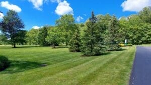 Are You Ready for High-Quality Commercial Lawn Care Services