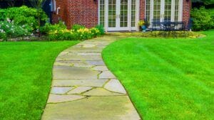 Important Questions To Consider Before Choosing Your Best Lawn Design