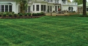 Elevate Your Home's Curb Appeal: The Importance of Residential Landscape Maintenance